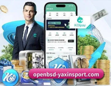 亚新体育 APP 深度功能