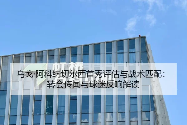 乌戈·阿科纳切尔西首秀评估与战术匹配：转会传闻与球迷反响解读
